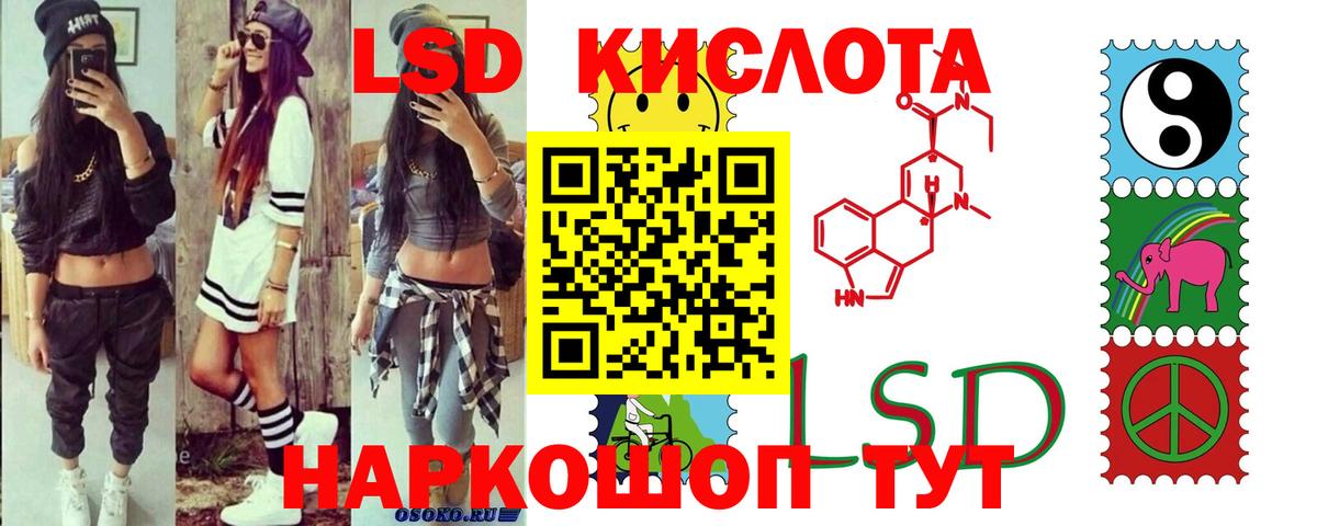 Псилоцибиновые грибы Кинель