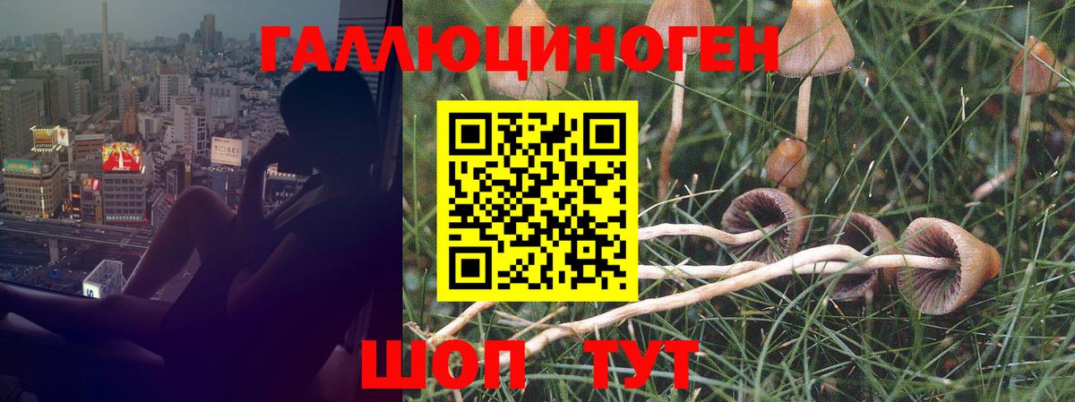 Псилоцибиновые грибы мицелий Кинель