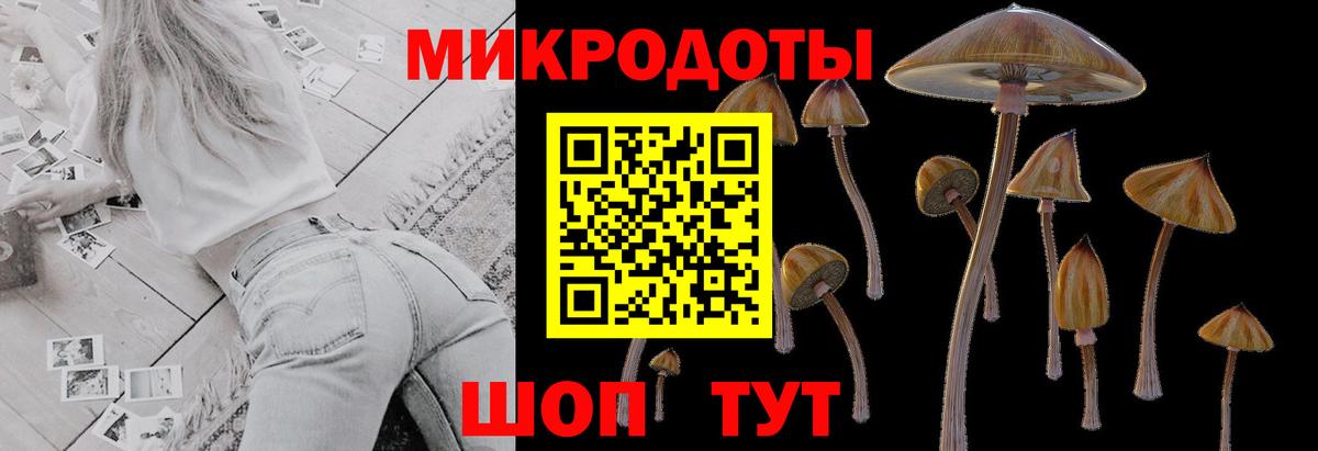 Псилоцибиновые грибы мицелий  Вход с VPN  Кинель 